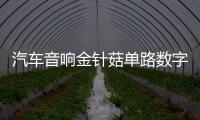 汽车音响金针菇单路数字大功率双音圈超重纯低音无源低音炮功放板