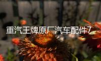 重汽王牌原厂汽车配件737B757B777B自卸货车刹车转向灯后尾灯总成