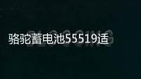 骆驼蓄电池55519适配福克斯嘉年华传祺赛欧名爵汽车电瓶12V55ah